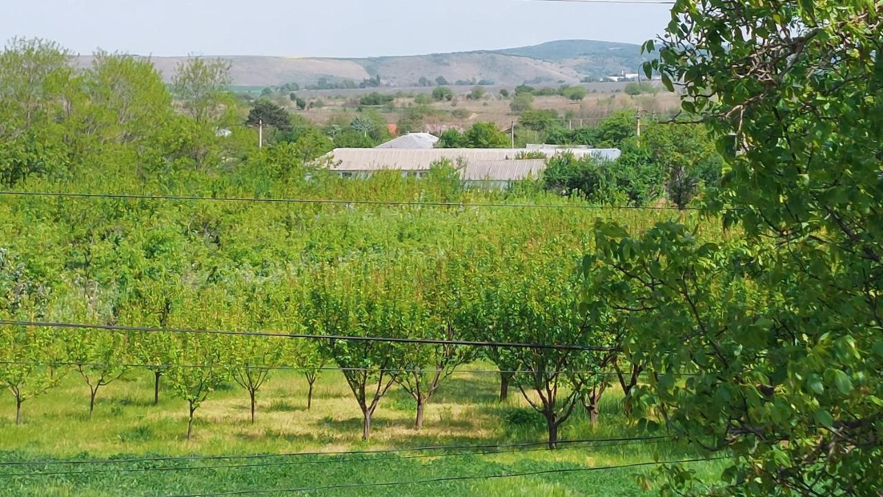 Agropensiunea Olteanu Niculitel Exterior foto