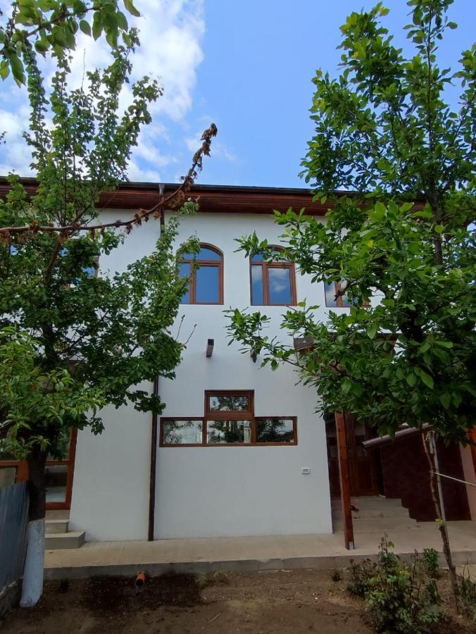 Agropensiunea Olteanu Niculitel Exterior foto
