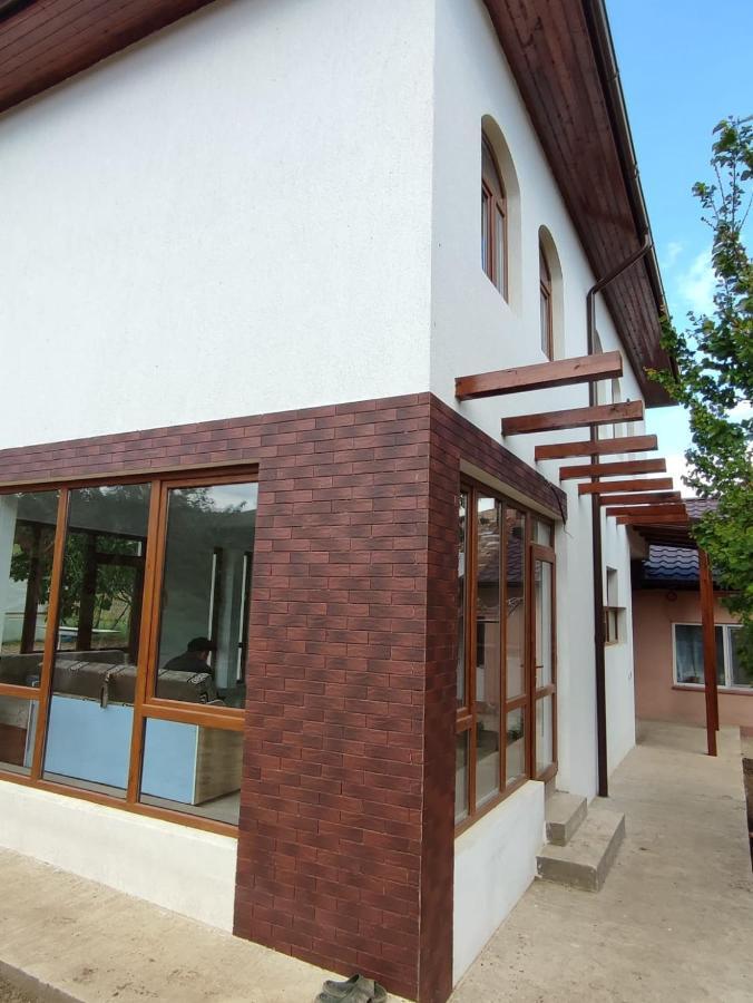 Agropensiunea Olteanu Niculitel Exterior foto