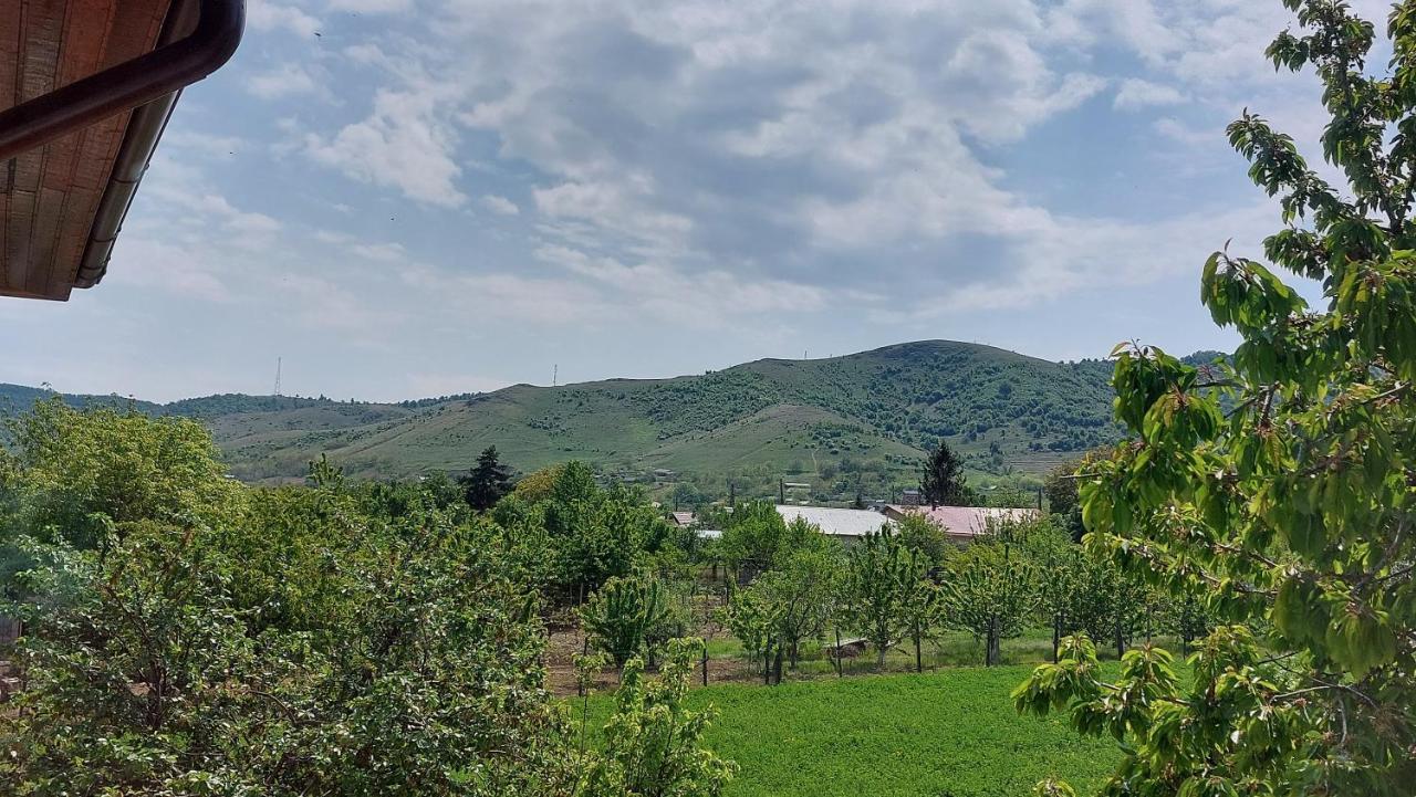 Agropensiunea Olteanu Niculitel Exterior foto