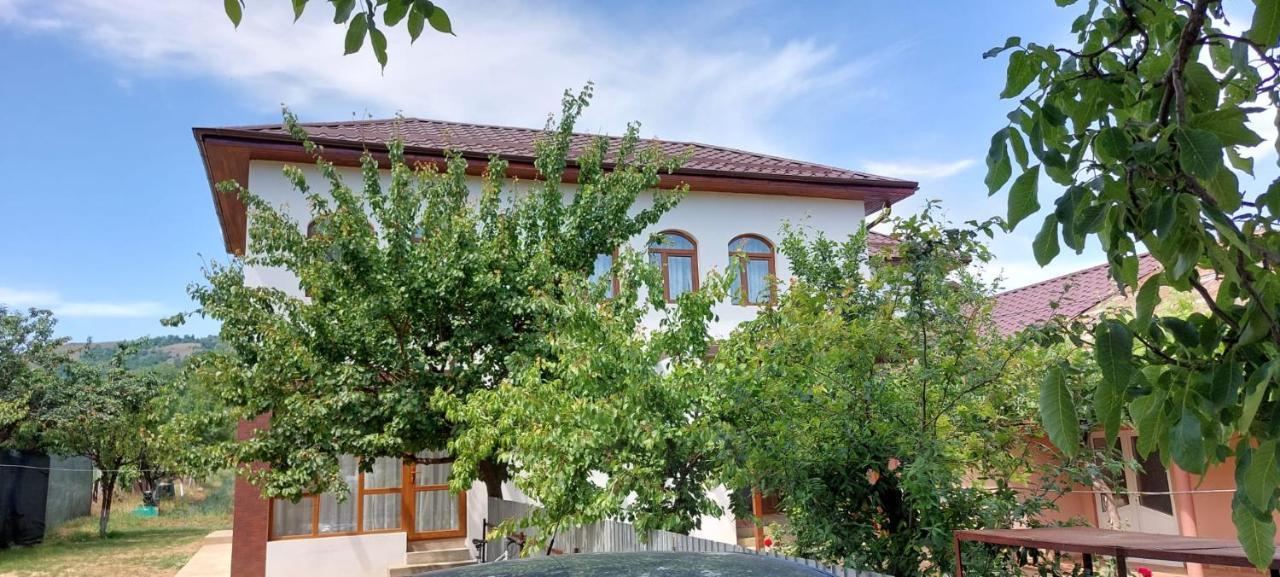 Agropensiunea Olteanu Niculitel Exterior foto