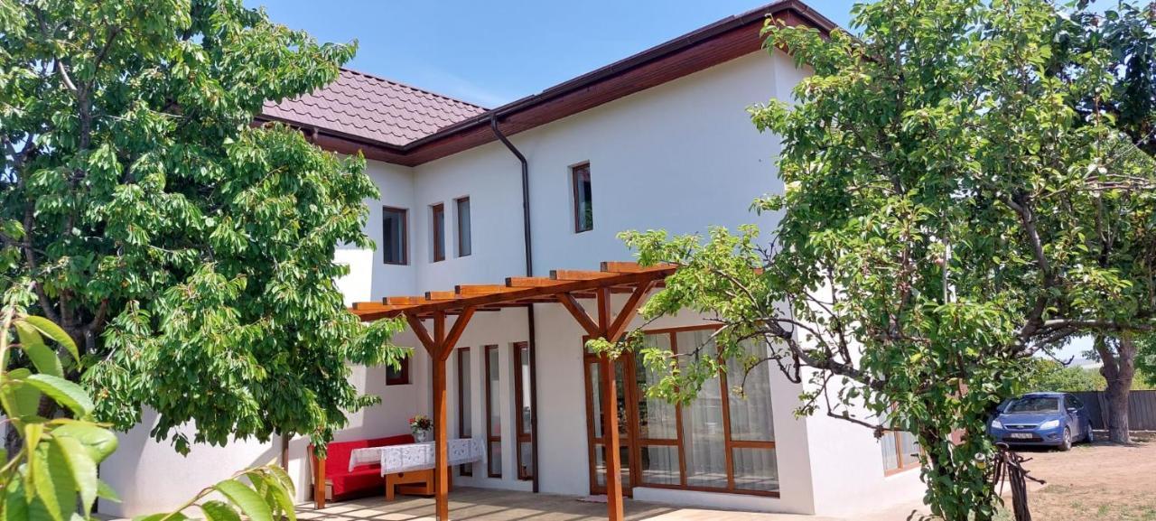 Agropensiunea Olteanu Niculitel Exterior foto